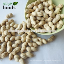 Peanut inshell supplier in alibaba